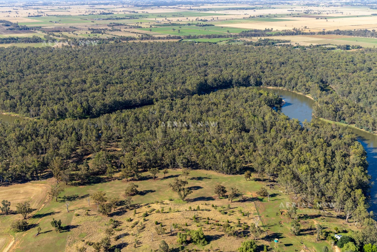Aerial view of the Murray River curving through dense river red gum woodland and farmland at Boomanoomana, New South Wales.