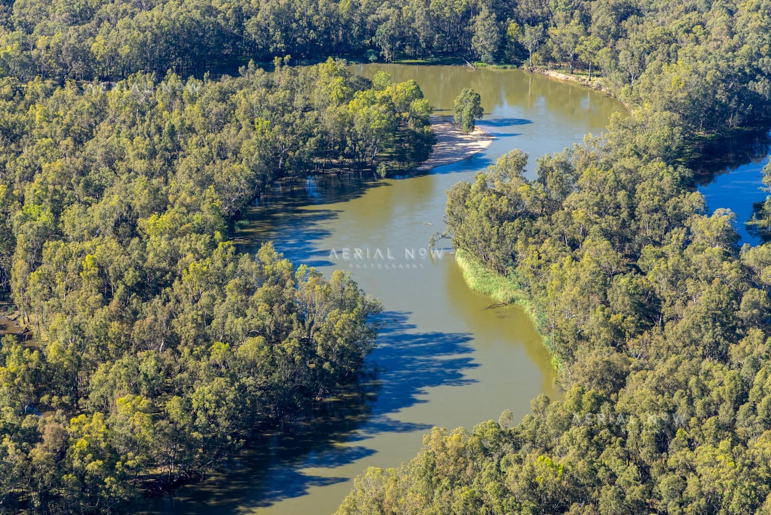 Aerial view of a winding Murray River bend surrounded by dense riparian woodland at Boomanoomana, New South Wales.
