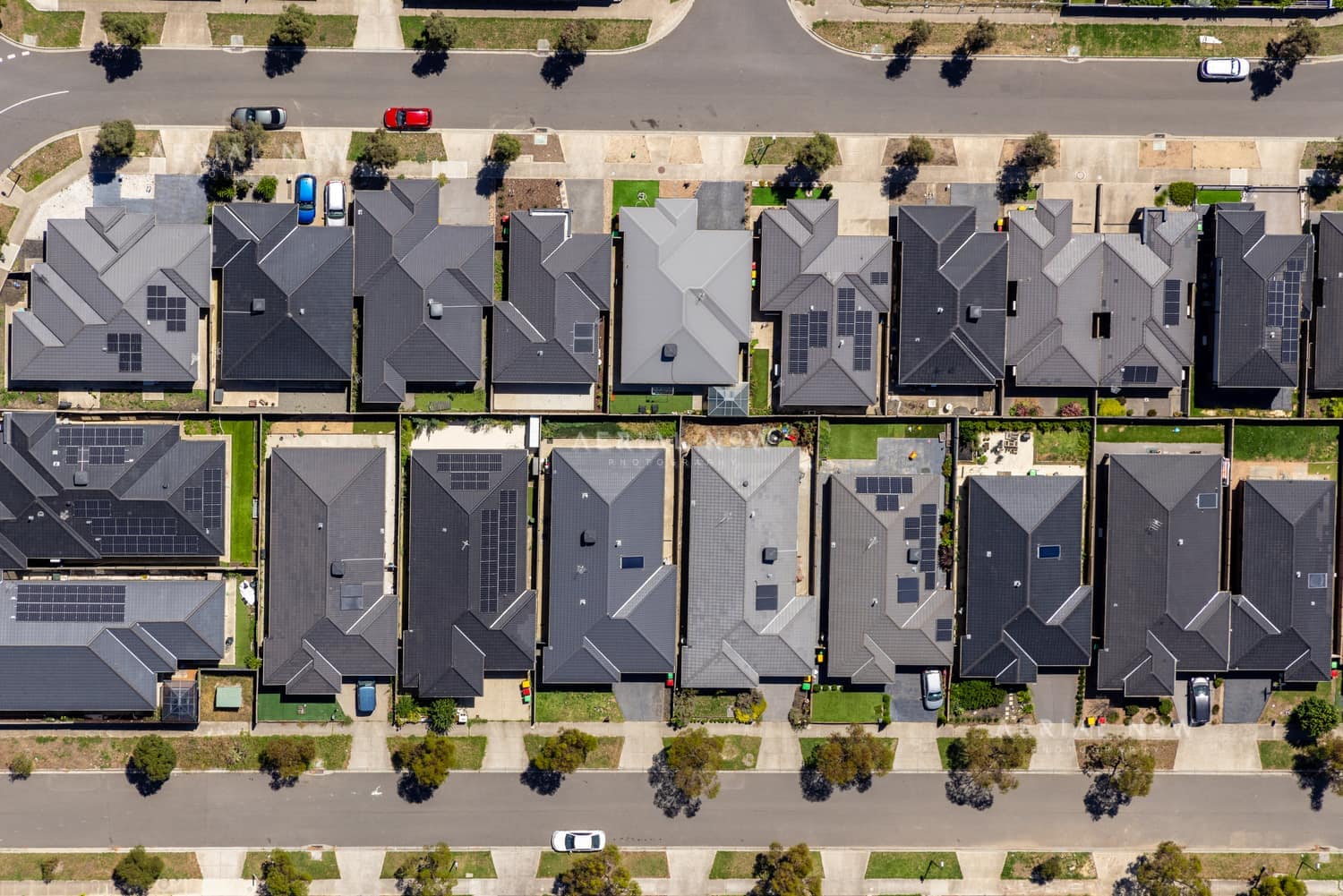 Aerial view of residential homes along Haldon Avenue in Mickleham VIC, showing modern roofs, driveways, street trees and parked cars.