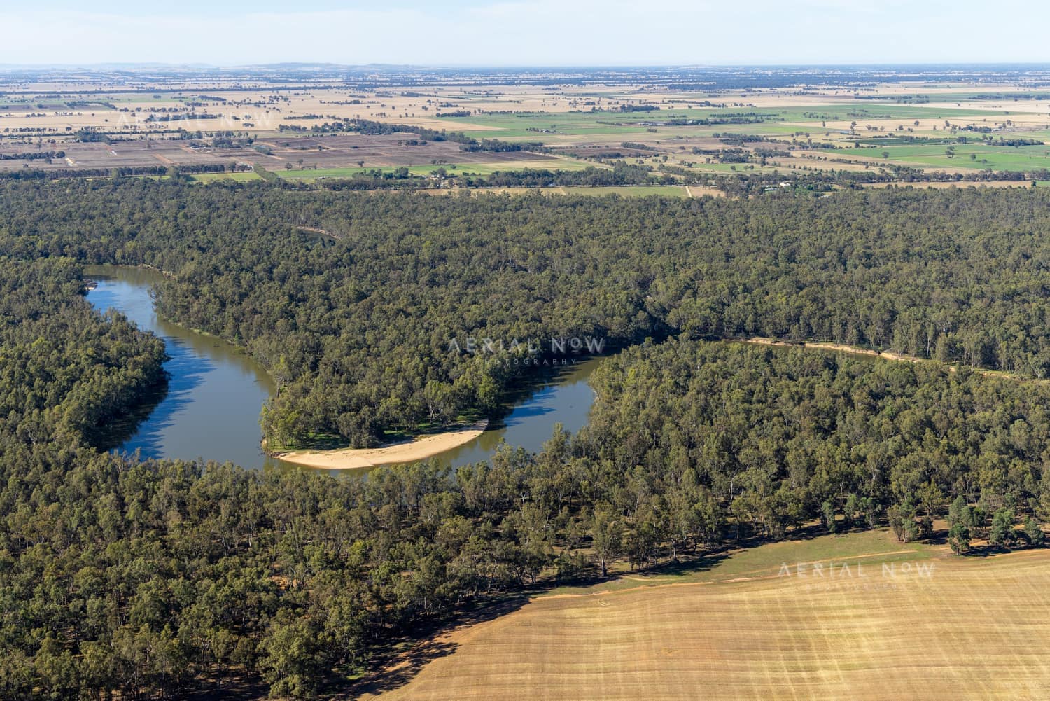 Aerial view of a Murray River bend winding through dense riverside woodland and surrounding farmland at Cobram East, Victoria.