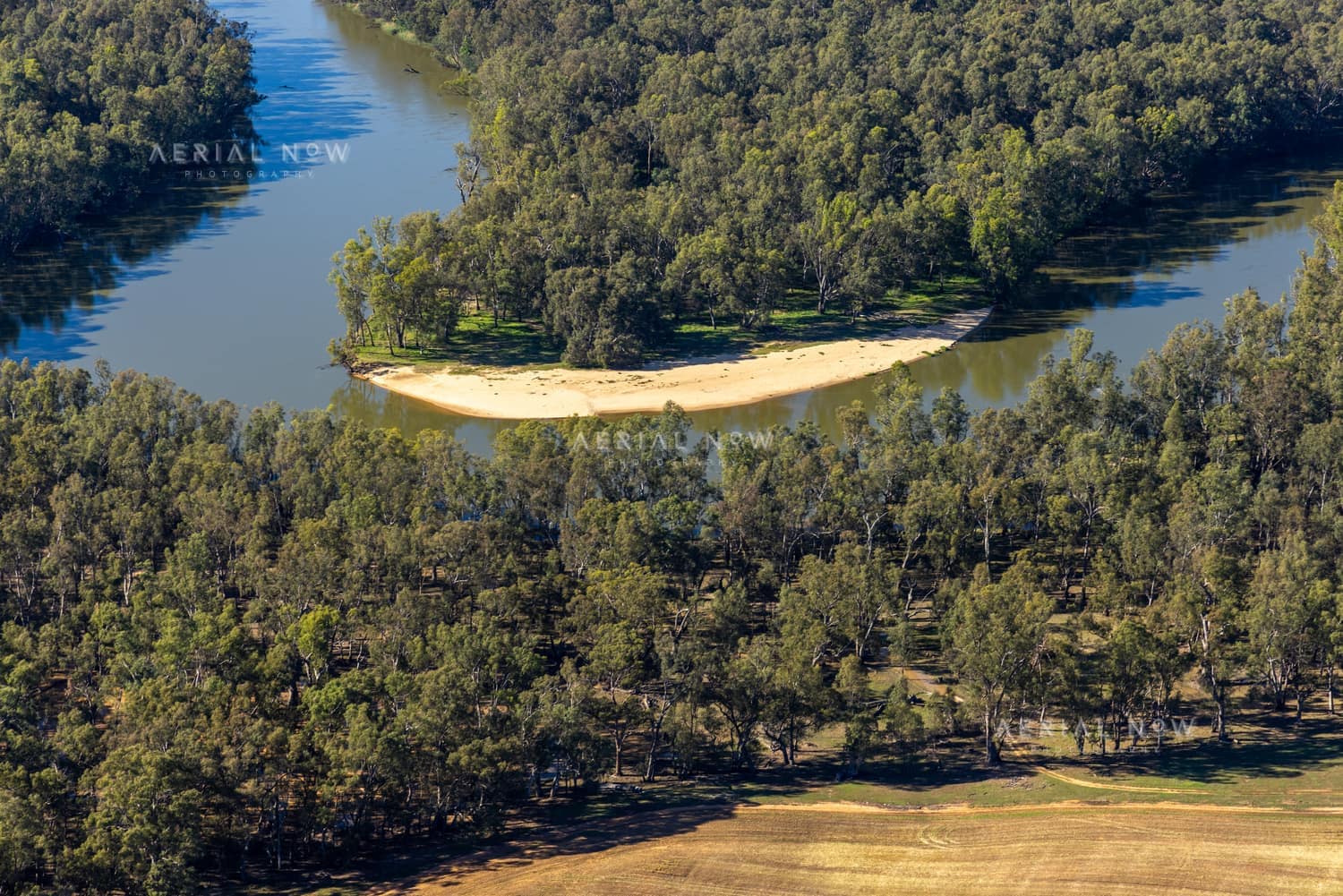 Aerial view of a Murray River bend with a sandy point, river red gum woodland and farmland near Cobram East, Victoria.