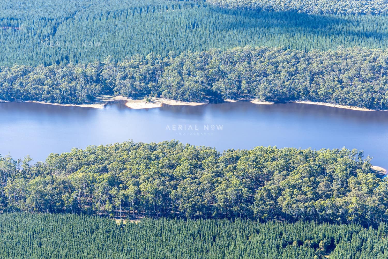 Aerial view of Bostock Reservoir with forested shoreline and pine plantations near Spargo Creek, Victoria.