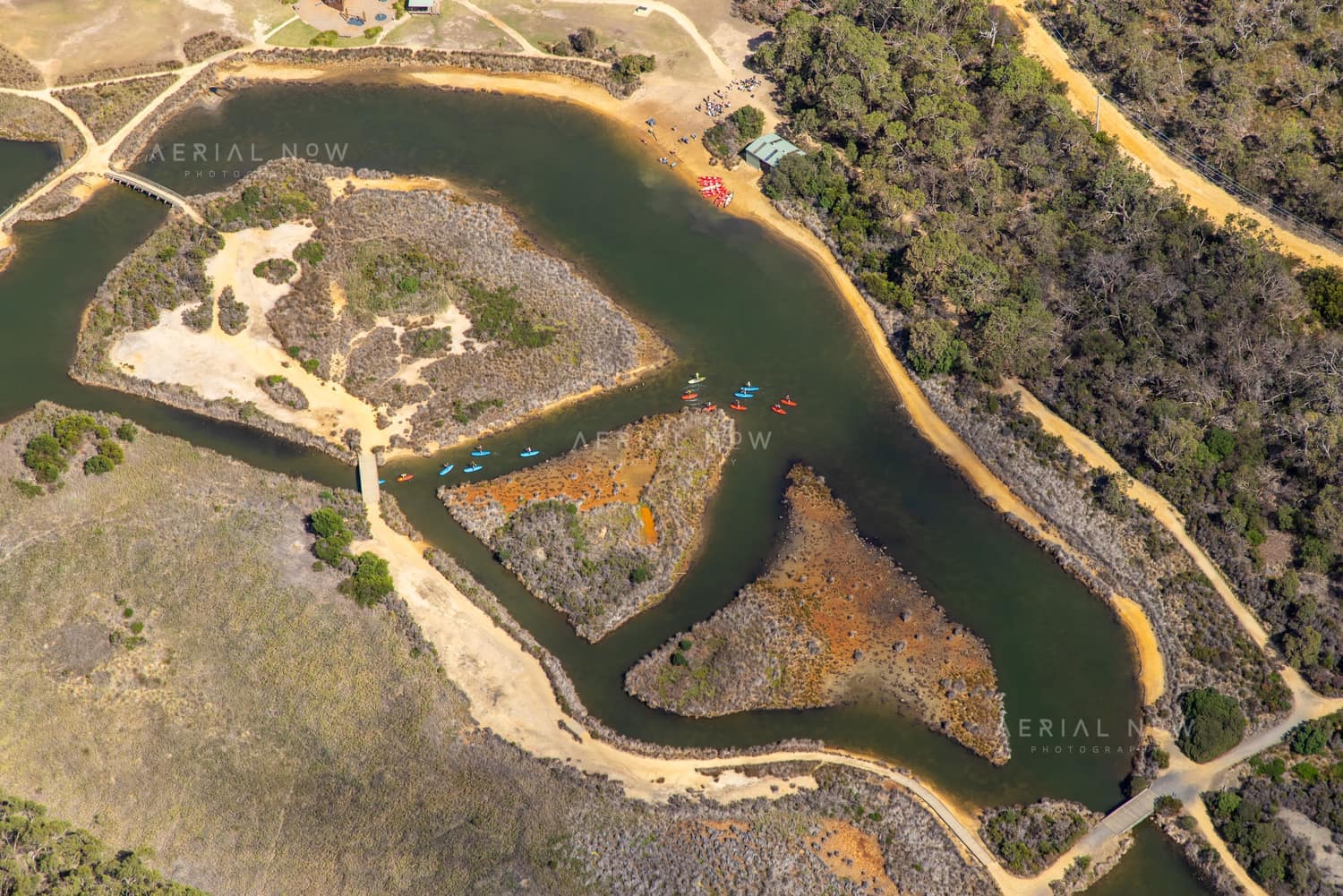 Aerial view of Coogoorah Park and the Anglesea River wetlands in Anglesea VIC, with kayaks on winding waterways, sandy banks, islands, tracks and surrounding bushland.