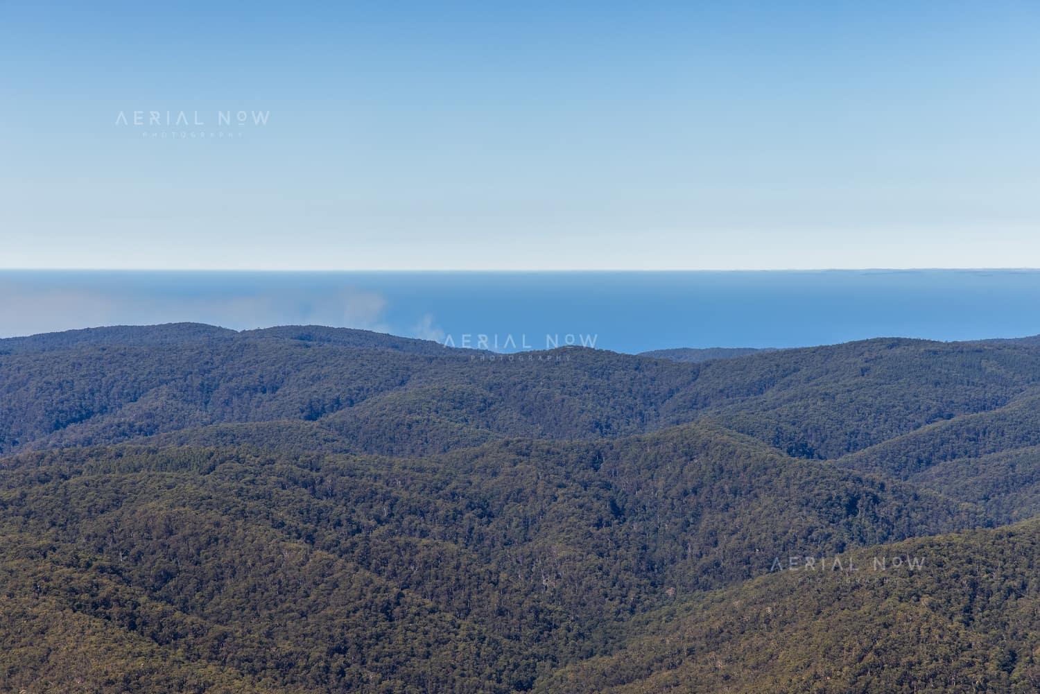 Aerial view over forested hills of Great Otway National Park near Lorne, with Bass Strait visible beyond the rolling ranges.