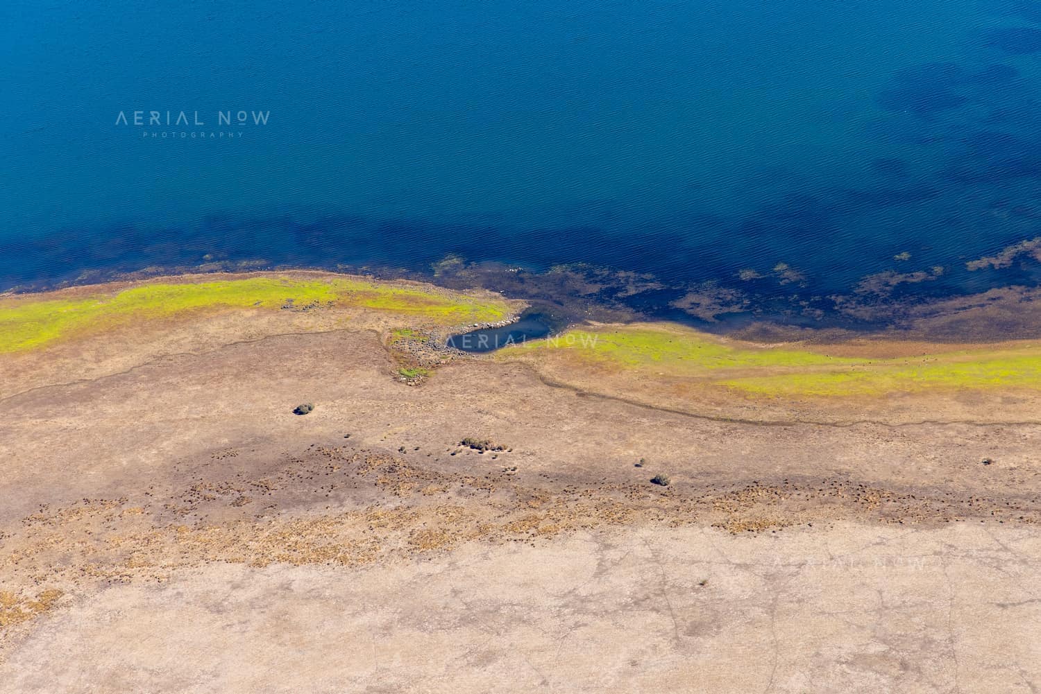 Aerial view of Lake Modewarre shoreline at Modewarre VIC, showing blue water, exposed lakebed and yellow-green vegetation along the shallow edge.