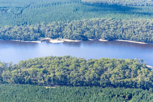 Aerial view of Bostock Reservoir with forested shoreline and pine plantations near Spargo Creek, Victoria.