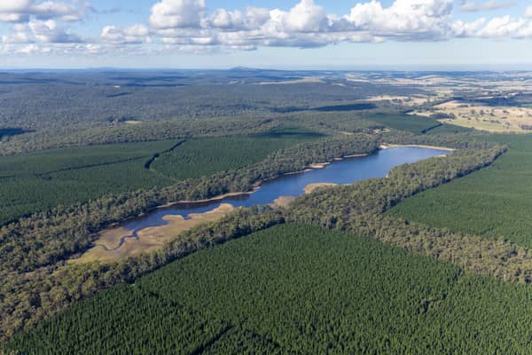 Aerial view of Bostock Reservoir surrounded by forest, plantation land and rural roads near Barkstead and Bolwarrah, Victoria.