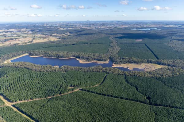 Bostock Reservoir project image 2981, Spargo Creek VIC