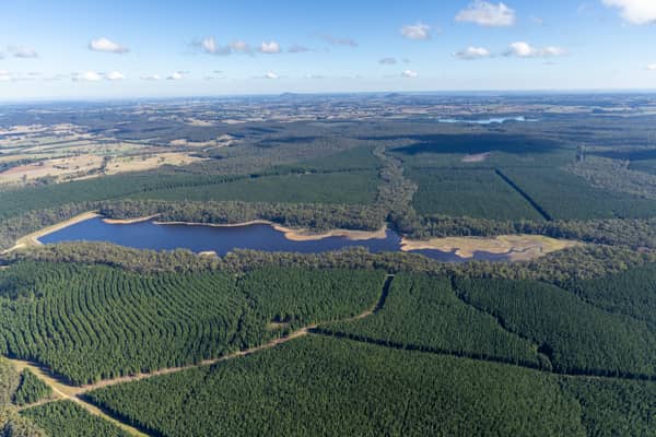 Bostock Reservoir project image 2984, Spargo Creek VIC