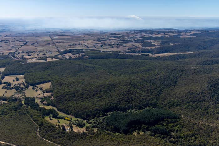 Aerial view of dense Otway forest, plantation blocks and surrounding farmland near Forrest in Victoria, with distant haze across the rural landscape.