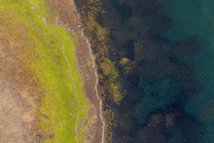 Aerial view of the Lake Modewarre shoreline at Modewarre VIC, showing shallow water, algae-darkened lakebed and grassy foreshore.