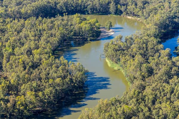 Aerial view of a winding Murray River bend surrounded by dense riparian woodland at Boomanoomana, New South Wales.