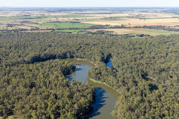 Aerial view of a meandering river bordered by dense woodland and surrounding farmland near Boomanoomana in New South Wales.