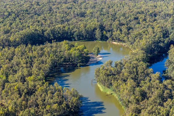 Aerial view of a winding river bend bordered by dense woodland near Boomanoomana in New South Wales.