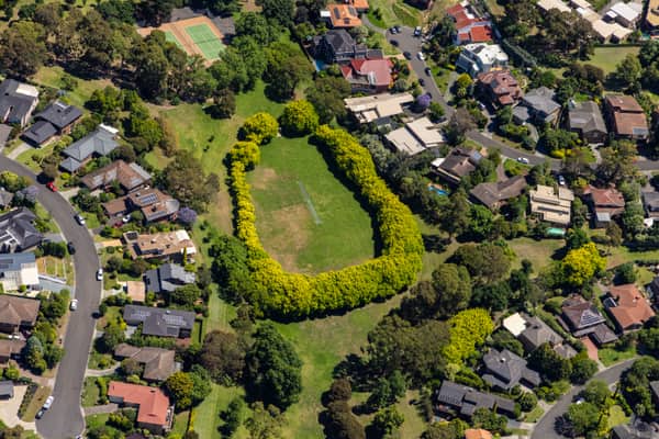 Aerial view of green suburban parkland with a tennis court, surrounding homes and tree-lined streets in Doncaster East, Victoria.