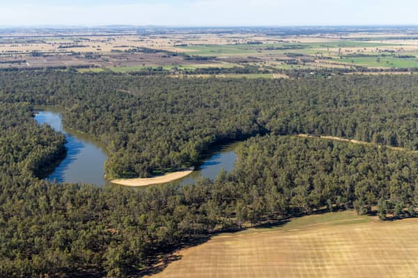 Aerial view of a Murray River bend winding through dense riverside woodland and surrounding farmland at Cobram East, Victoria.
