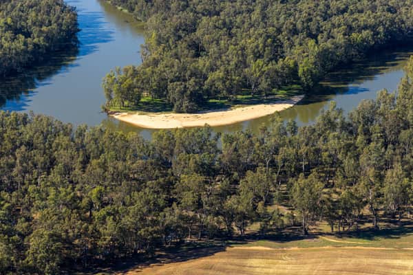 Aerial view of a Murray River bend with a sandy point, river red gum woodland and farmland near Cobram East, Victoria.