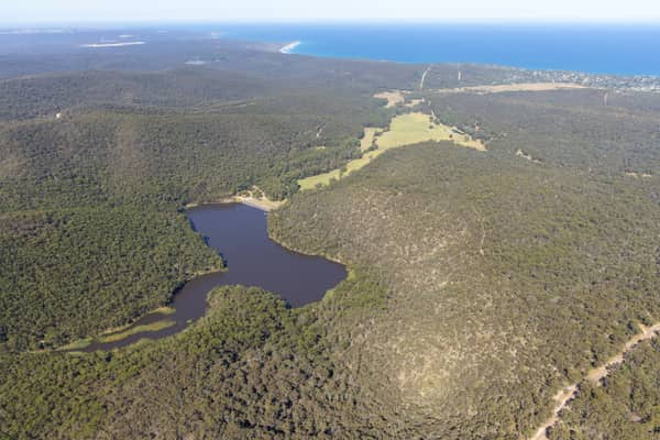 Aerial view of a dark woodland lake surrounded by dense bushland near Moggs Creek, with Surf Coast coastline and ocean visible in the distance.